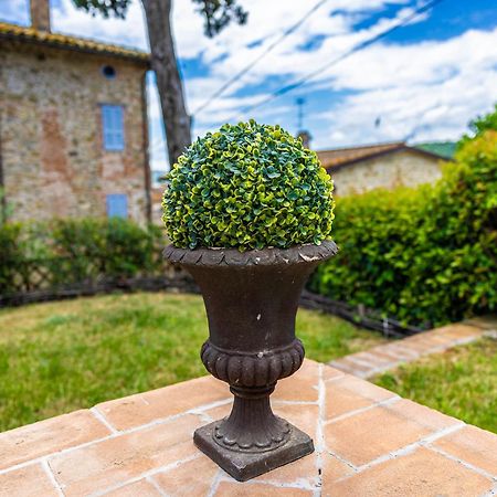 Un Petit Paradis Castiglione della Valle Exteriör bild