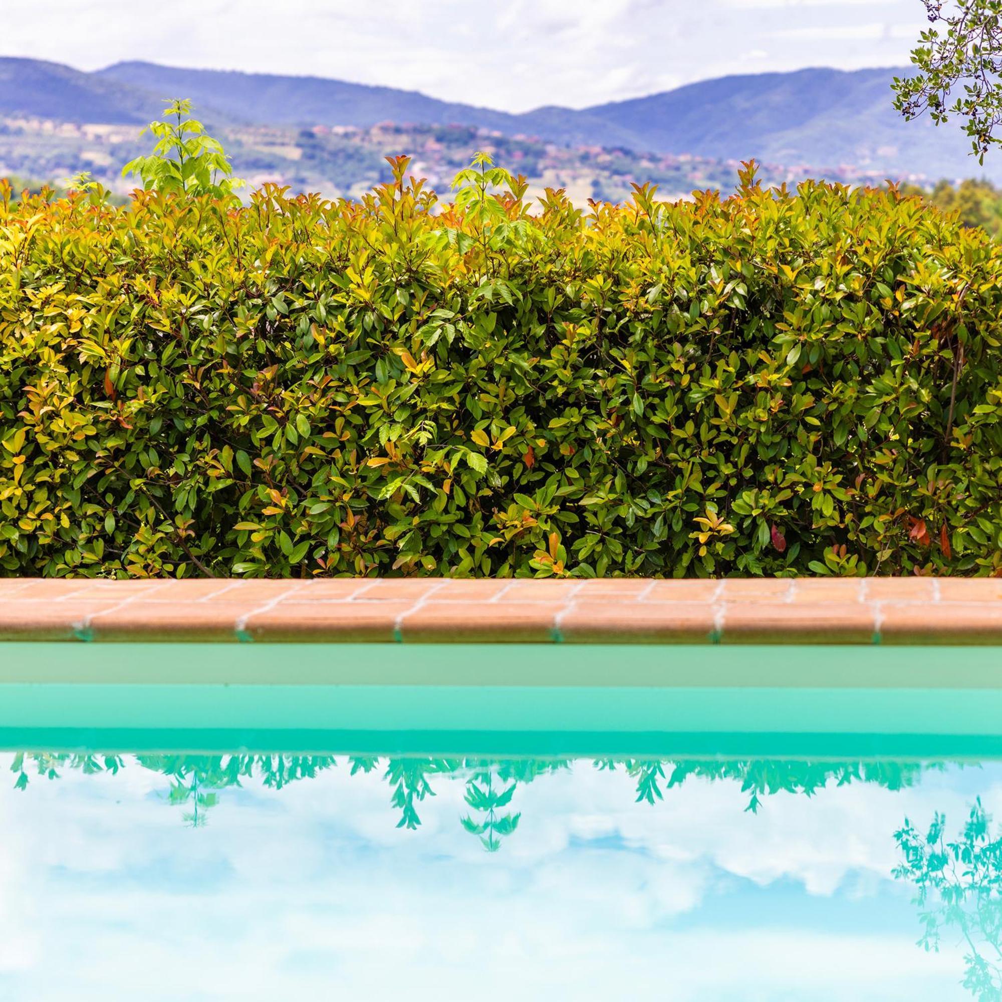 Un Petit Paradis Castiglione della Valle Exteriör bild