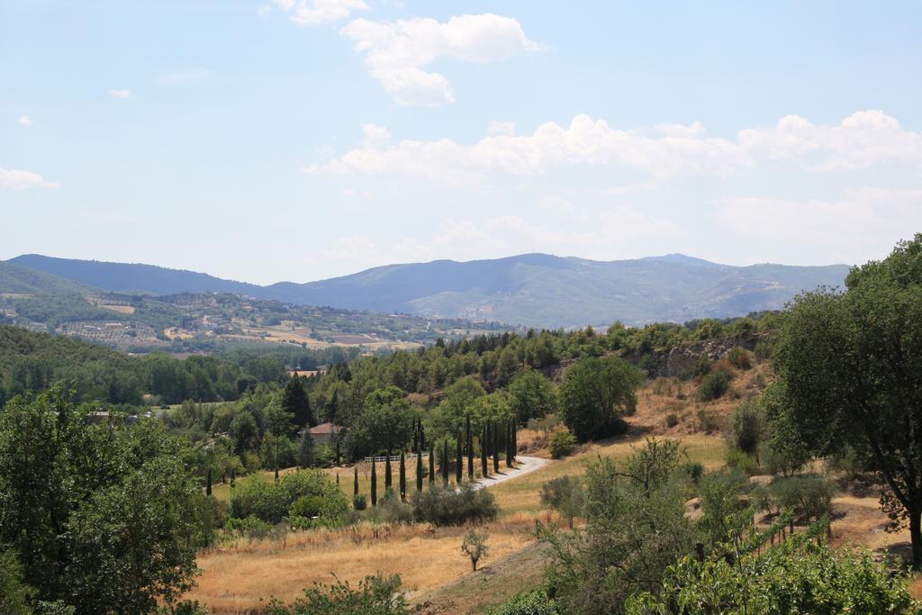 Un Petit Paradis Castiglione della Valle Exteriör bild