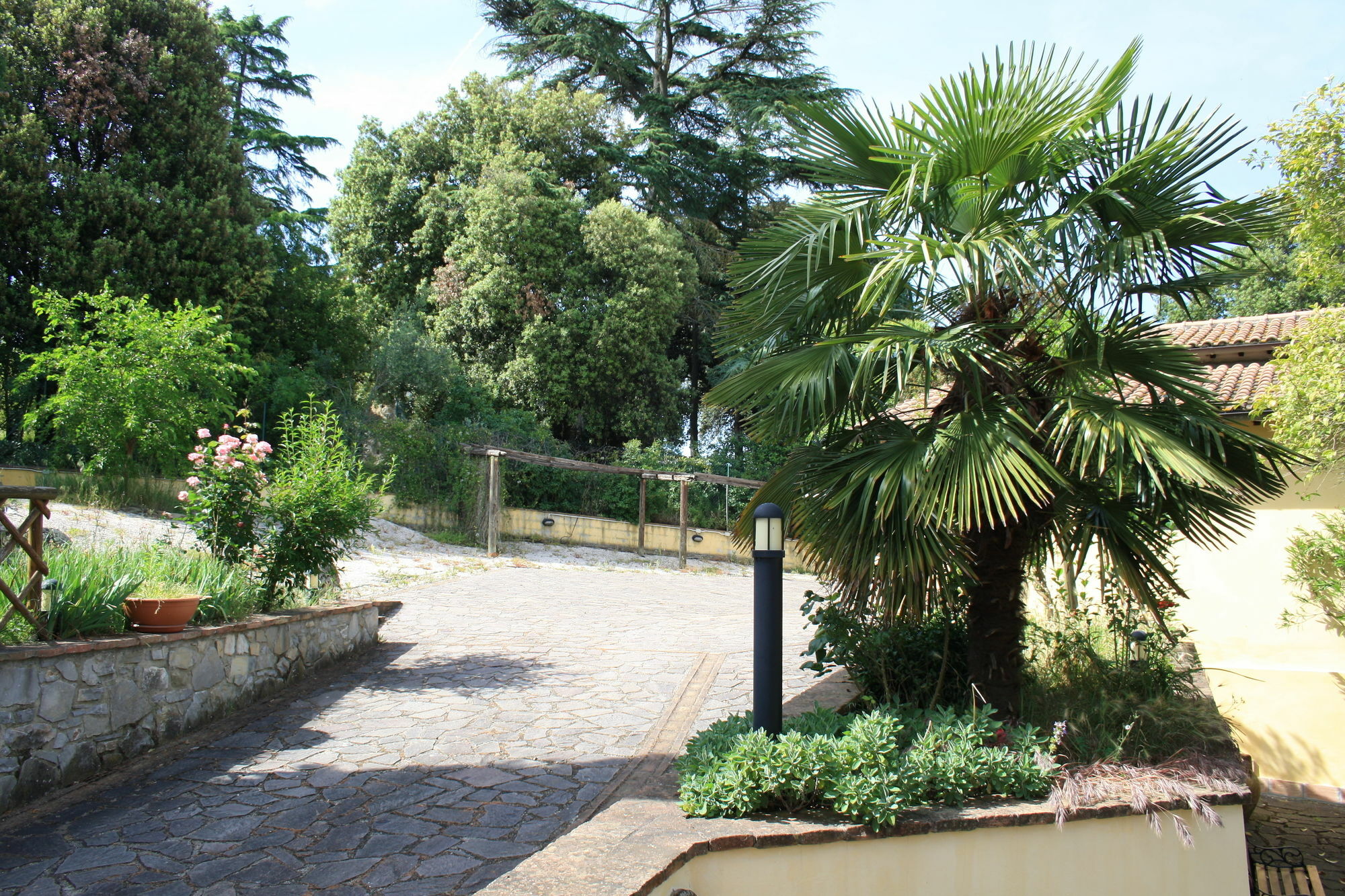 Un Petit Paradis Castiglione della Valle Exteriör bild